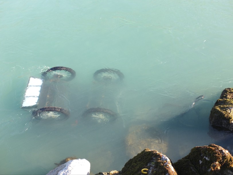 Un cheval s'encouble et l'attelage finit dans le Rhin