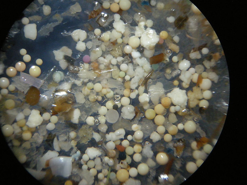 Le Rhin fortement pollué par les microdéchets de plastique