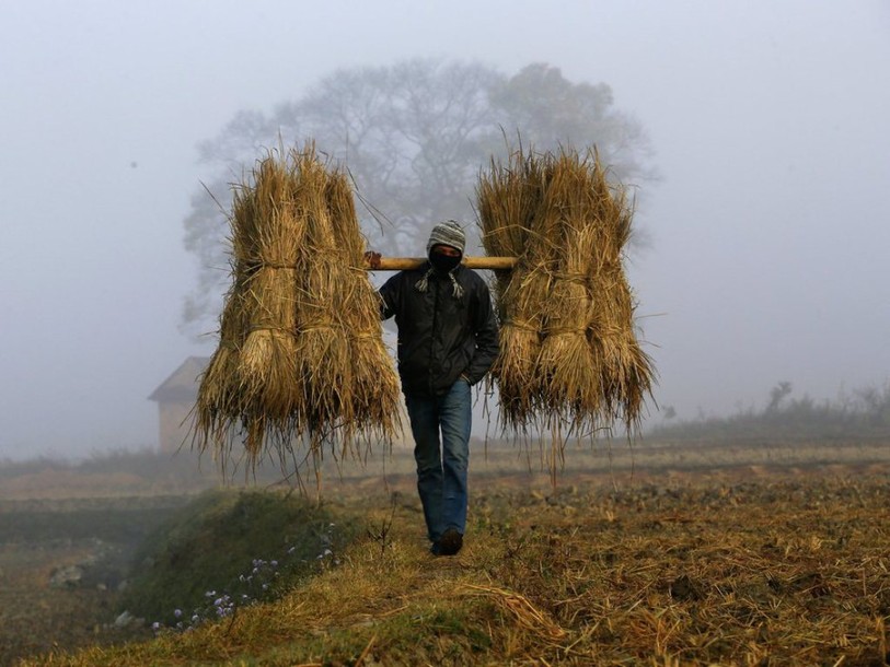 Campagne contre la spéculation sur les denrées alimentaires