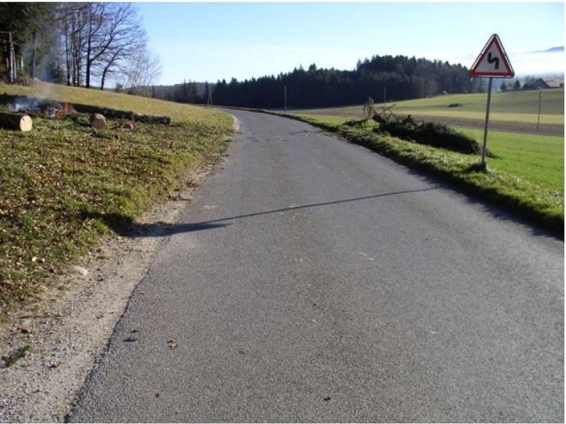Singine: des inconnus abattent des sapins au bord d'une route