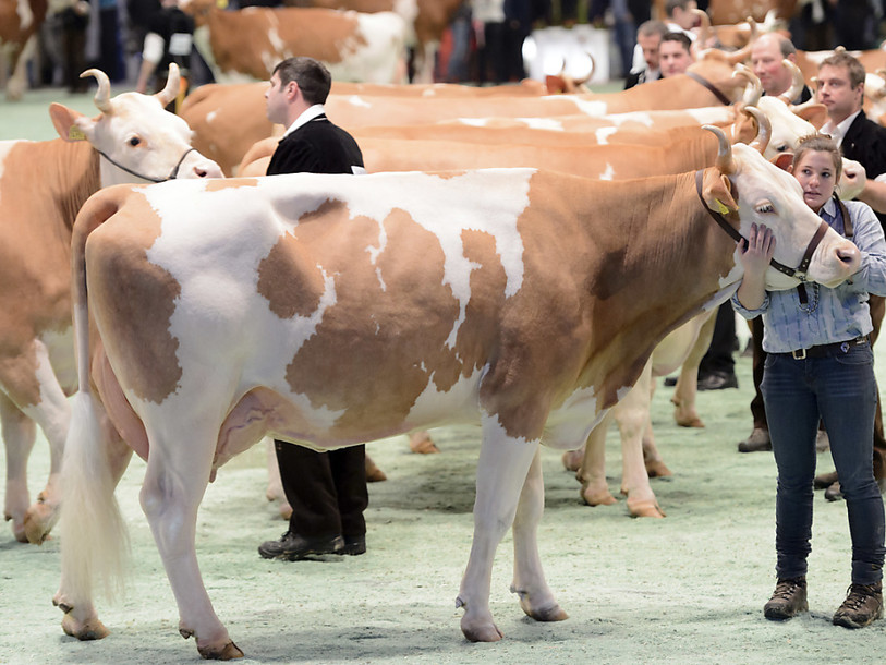 Swiss Expo attend 150 exposants pour sa 20e édition à Lausanne