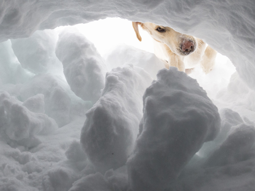 Cinq militaires tués dans une avalanche en Savoie