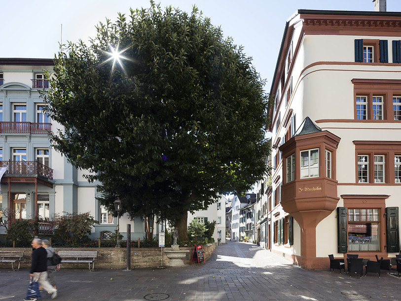 Patrimoine suisse décerne le Prix Wakker 2016 à Rheinfelden (AG)