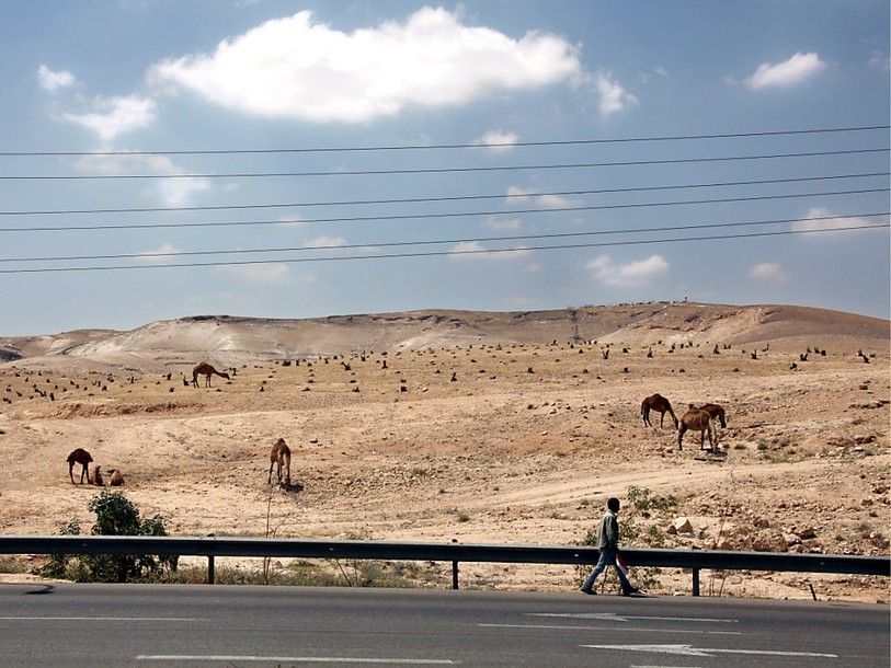 Israël près d'annexer 150 hectares de terres en Cisjordanie