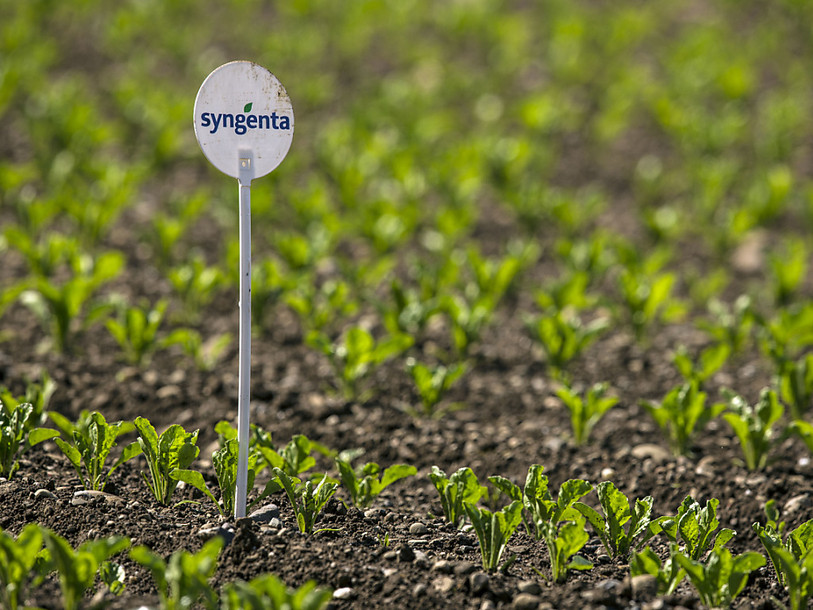Syngenta: les syndicats veulent des garanties pour l'emploi