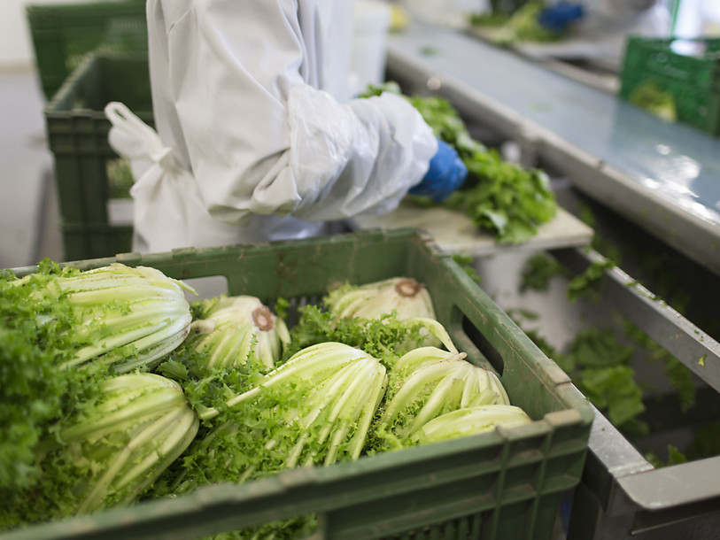 Le groupe Bell reprend le spécialiste des salades