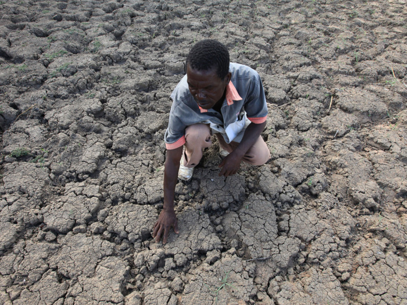 Afrique australe: la sécheresse menace 49 millions de personnes