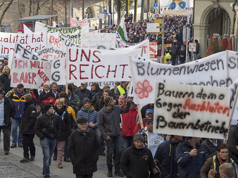 Agriculture: les coupes budgétaires divisent le camp bourgeois