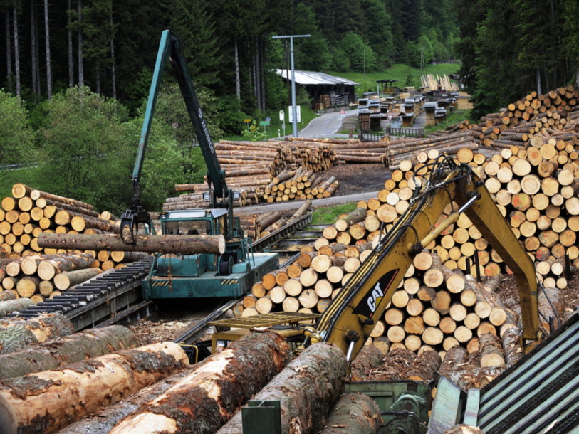 Loi révisée: un coup de pouce aux exploitants des forêts