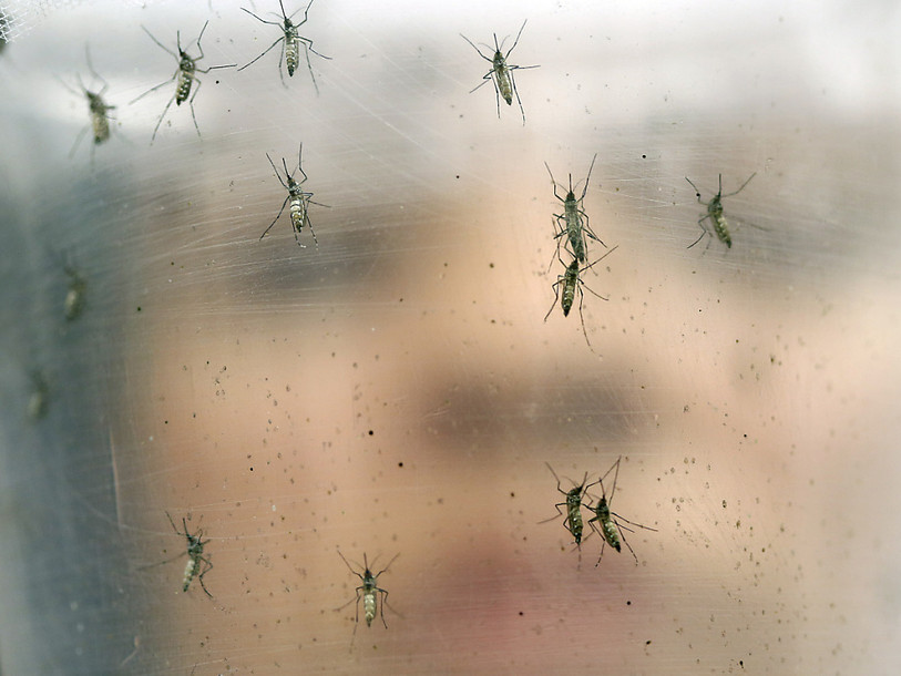 Les hommes touchés par Zika doivent attendre avant de concevoir