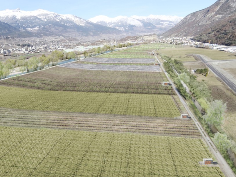Le gouvernement valaisan séduit le monde agricole