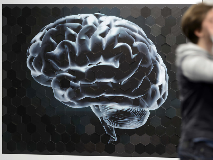 Le cerveau déroule la conscience comme un film
