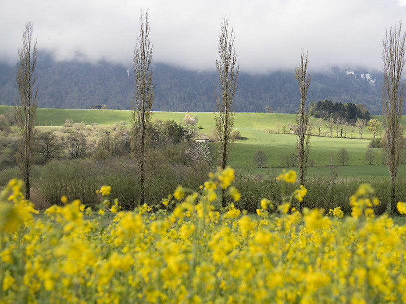 Le National fait une fleur aux agriculteurs