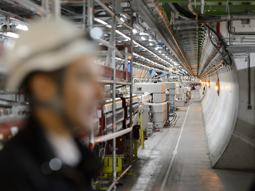 CERN: une fouine cause une panne au Grand collisionneur de hadrons