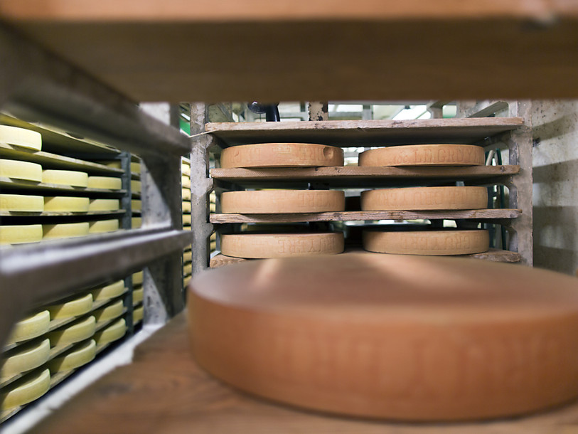TTIP: les paysans suisses inquiets pour le secteur