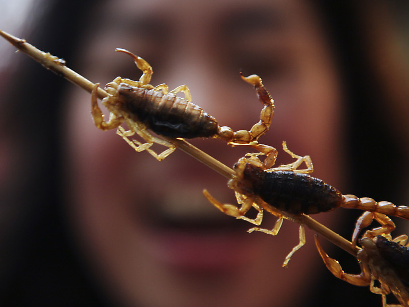 Deux scorpions trouvés dans les bagages d'une Zurichoise