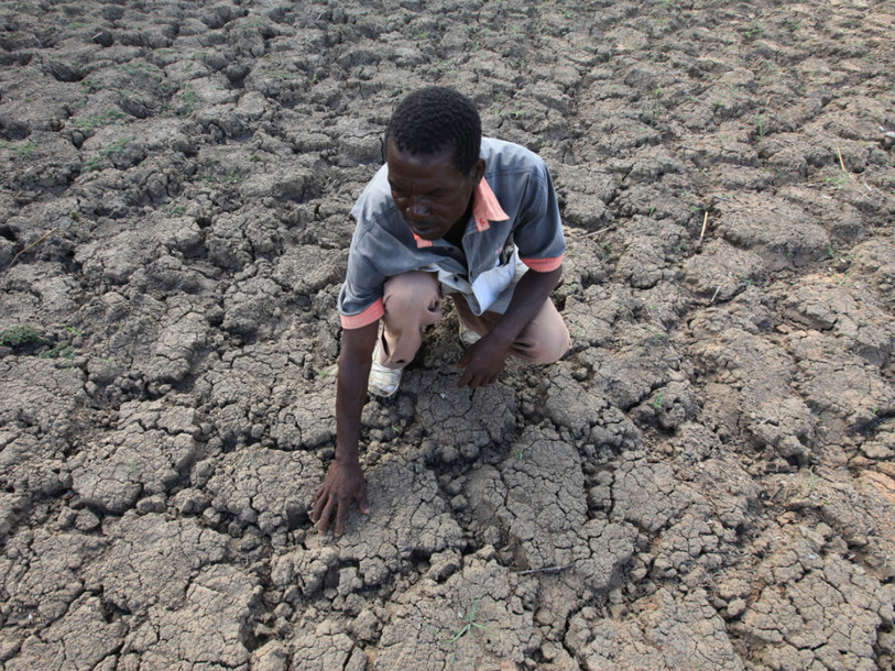 L'insécurité alimentaire touche 32 millions de personnes en Afrique