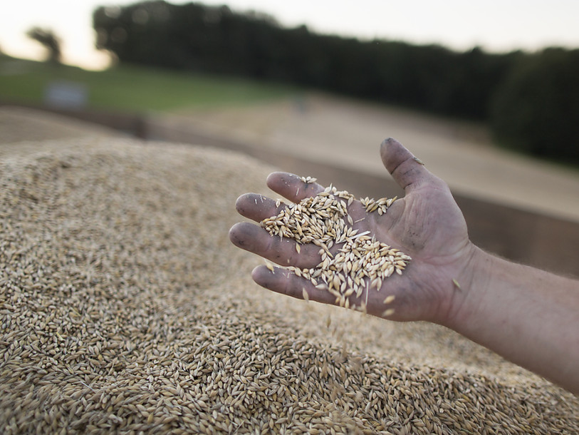 Loi sur l'approvisionnement: régime d'exception pour l'agriculture
