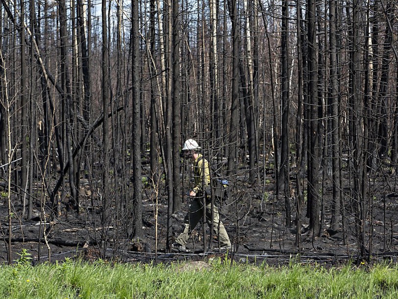 L'activité humaine, probable cause des feux de Fort McMurray
