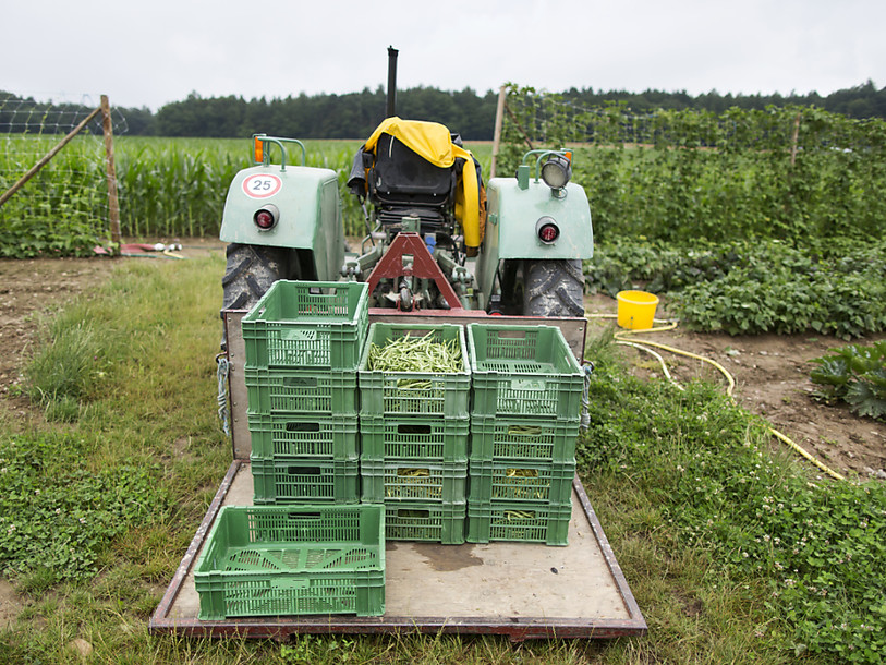Les paysans devraient utiliser moitié moins de pesticides