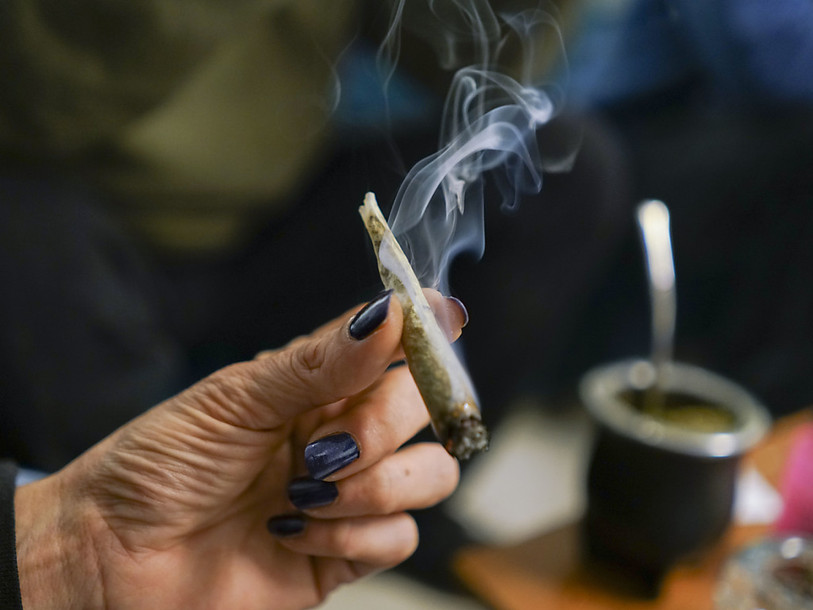 Uruguay: le registre des consommateurs de cannabis bientôt ouvert