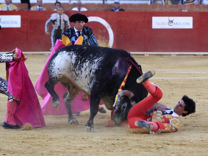 Mort d'un jeune torero après un coup de corne en Espagne