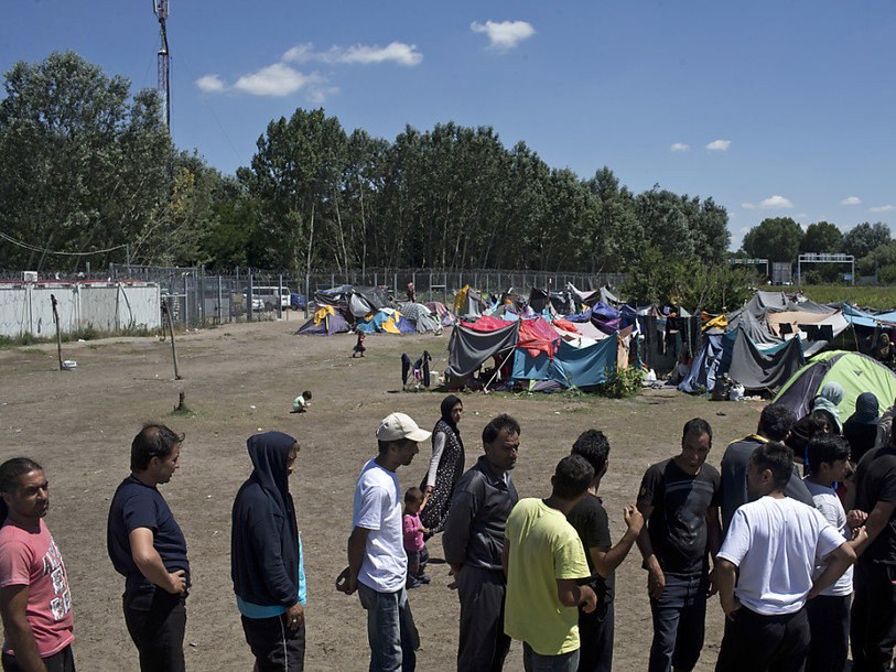 Migrants piégés à la frontière serbo-hongroise