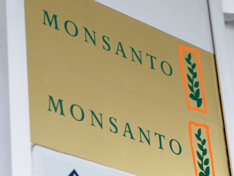 Monsanto juge 