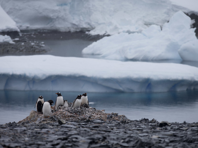 Une partie de l'Antarctique se refroidit à nouveau