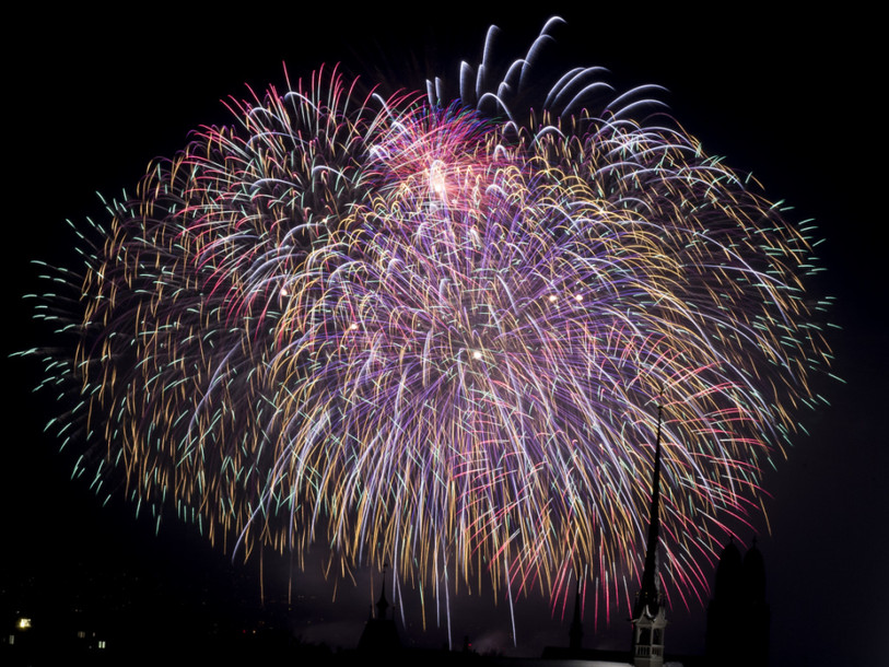 Les feux d'artifice, une source de stress pour les oiseaux