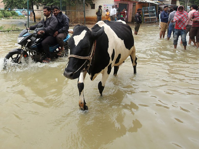 Plus de 50 morts dans les inondations dues à la mousson en Inde