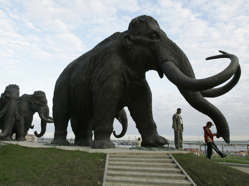 Les derniers mammouths d'Alaska sont morts de soif il y a 5600 ans