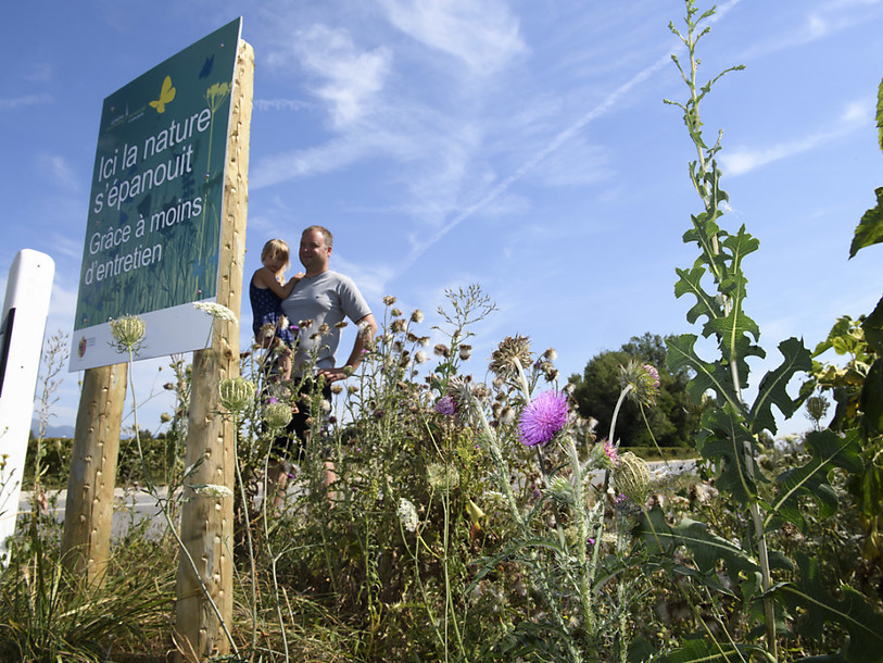 Les agriculteurs dénoncent le non-entretien des bords de routes