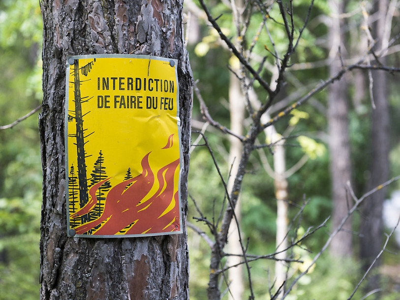 Fort danger d'incendie de forêt en Valais