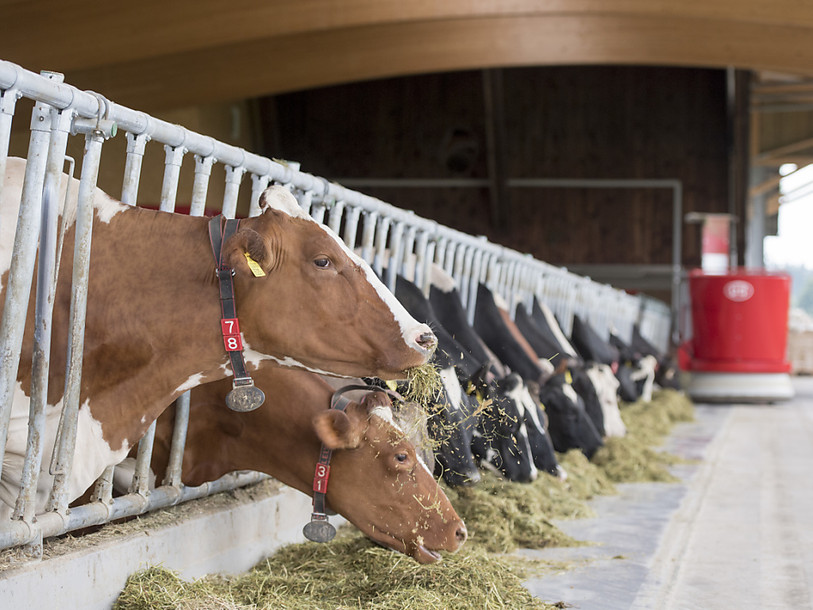 Les paysans ont souffert du prix du lait et de la météo en 2015
