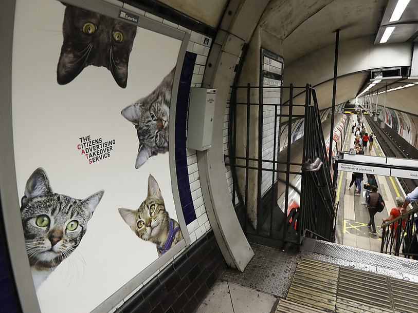 Les chats chassent la pub dans une station du métro londonien
