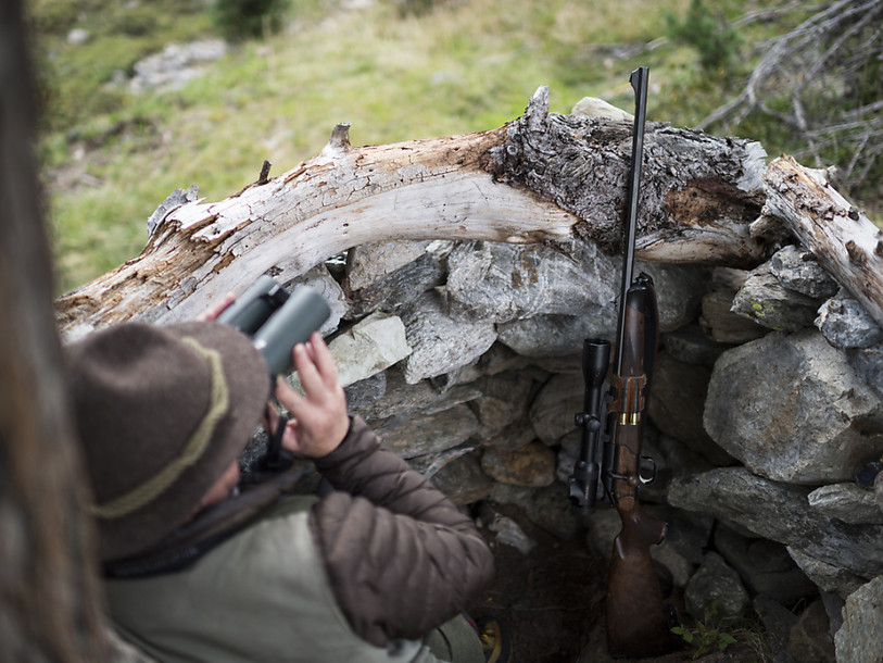 Gibier dans le viseur des chasseur valaisans