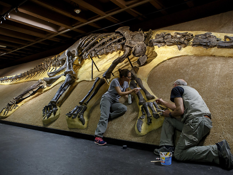 Le Muséum de Genève consacre une grande exposition aux dinosaures