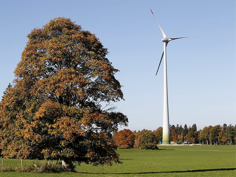 Une éolienne tue en moyenne près de 21 oiseaux par année