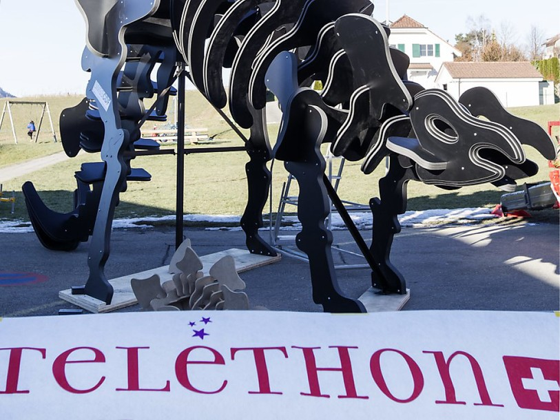 Téléthon: plus de 2,3 millions de francs récoltés en deux jours