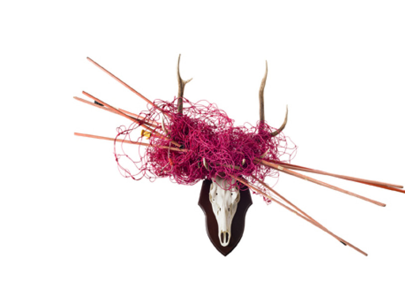 Le Musée de la nature du Valais reçoit le Prix Expo 2016