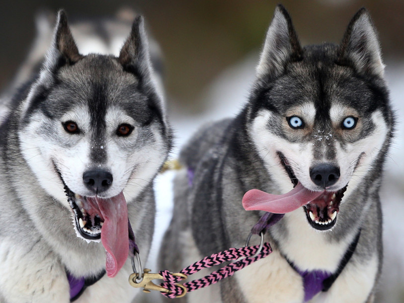 Un projet neuchâtelois convainc aux Etats-Unis