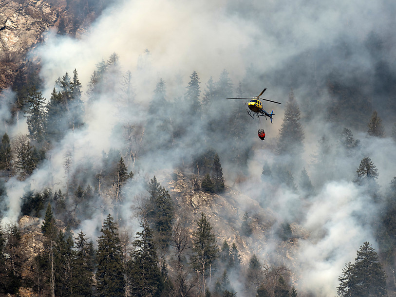 Cinq Super Puma en action vendredi contre les feux de forêt