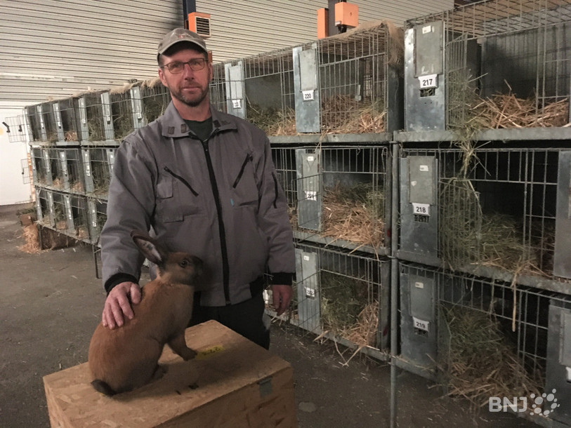 Roland Ioset, ici avec un de ses lapins, participe à l'exposition organisée par l'association Petits animaux Région Jura.
