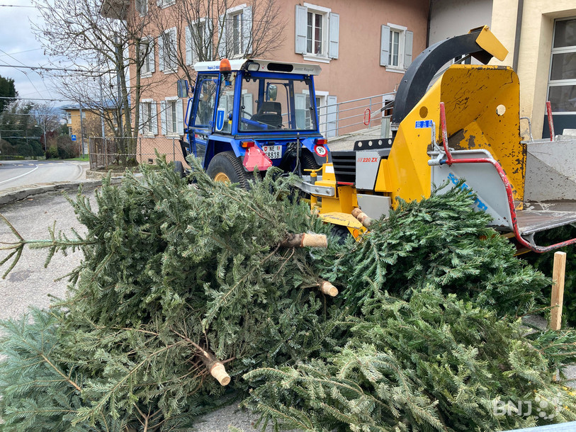 Les citoyens de La Tène étaient appelés à venir déposer leur sapin de Noël à la voirie en vue de leur recyclage. 