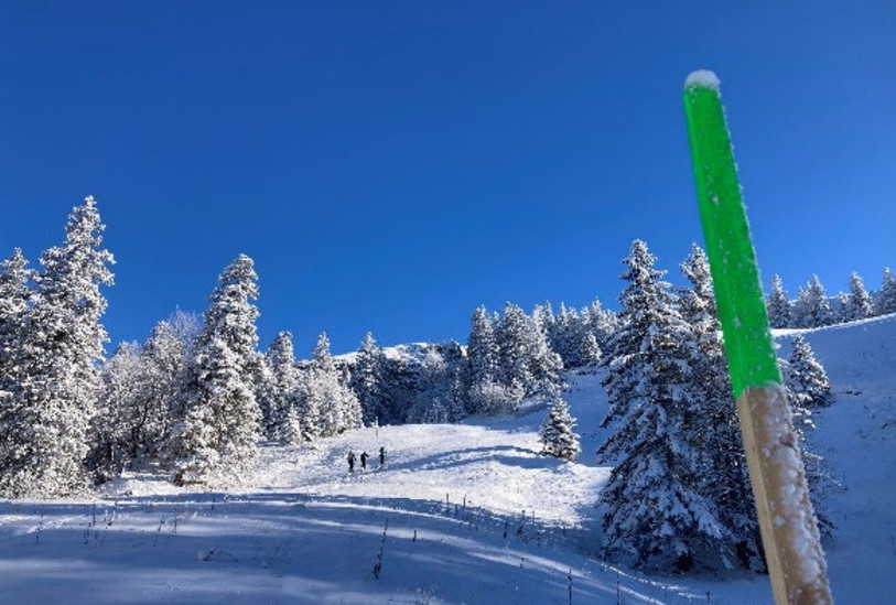 Une centaine de piquets de ce genre ont poussé dans le district franc de la Combe Grède. (Photo : Parc Chasseral).
