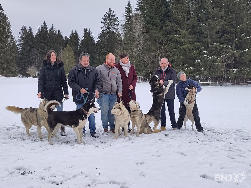 Les membres du comité d’organisation des Courses de chiens de traîneaux tentent tant bien que mal de faire poser pour la photo les chiens de la musheuse Brigitte Favre.