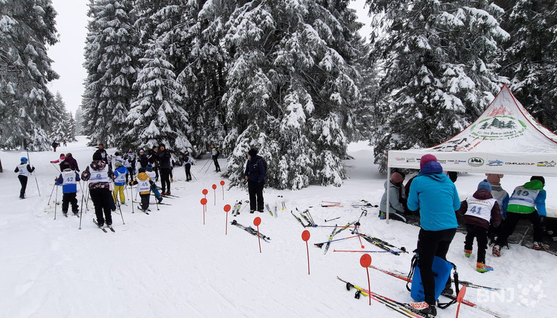 A ski de fond dans les forêts enneigées de notre région...