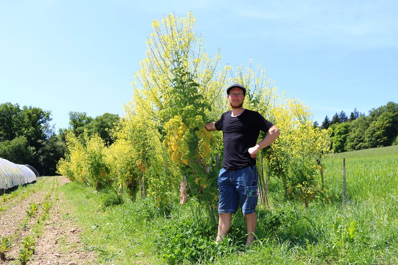 A Chambrelien, le grainetier Martin Brüngger a fait découvrir son métier et sa passion aux visiteurs.