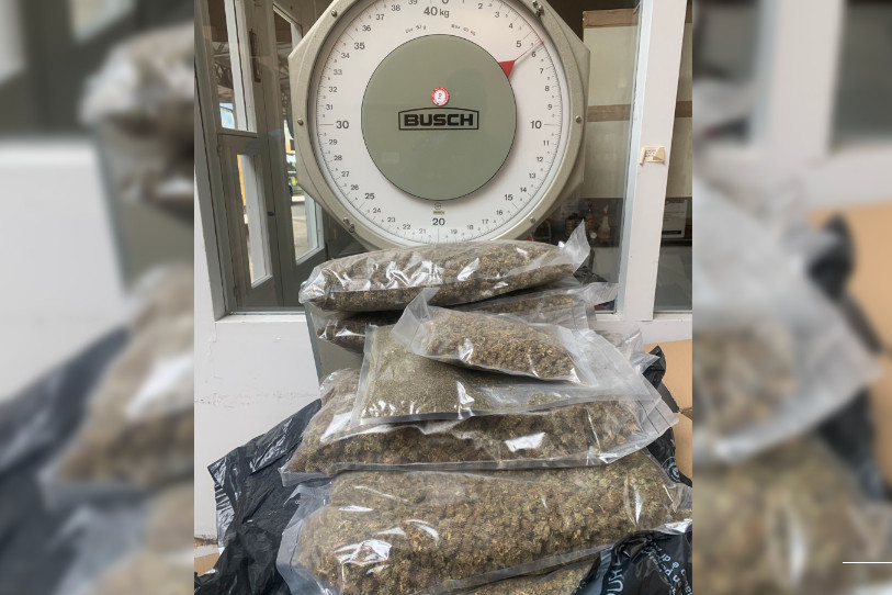 Les stupéfiants se trouvaient dans des cartons dissimulés parmi les autres envois de ce transport. (Photo : OFDF).